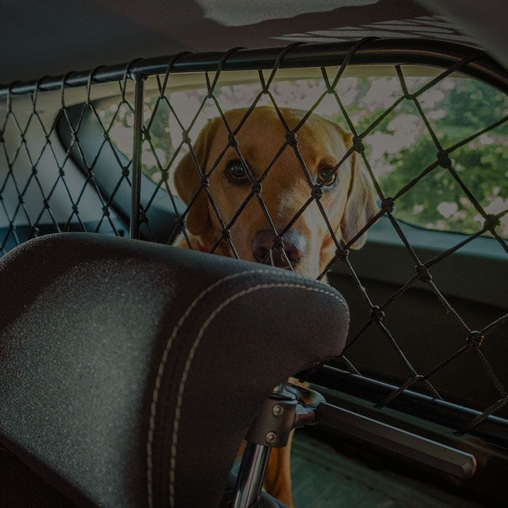 Find Dog Guards by Car Registration